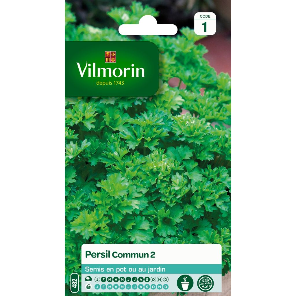 Silopersilja 2 Officinal - Vilmorin