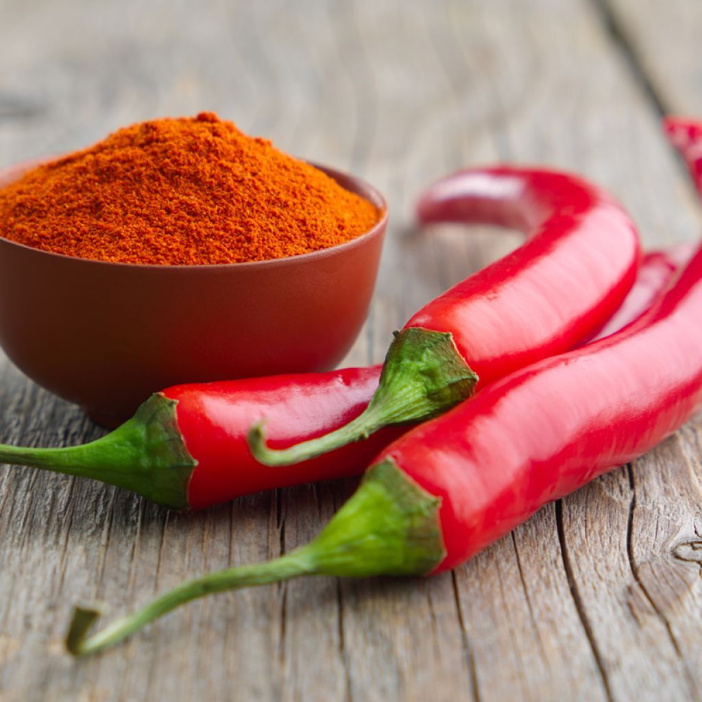 Pensaspaprika de Cayenne luomu