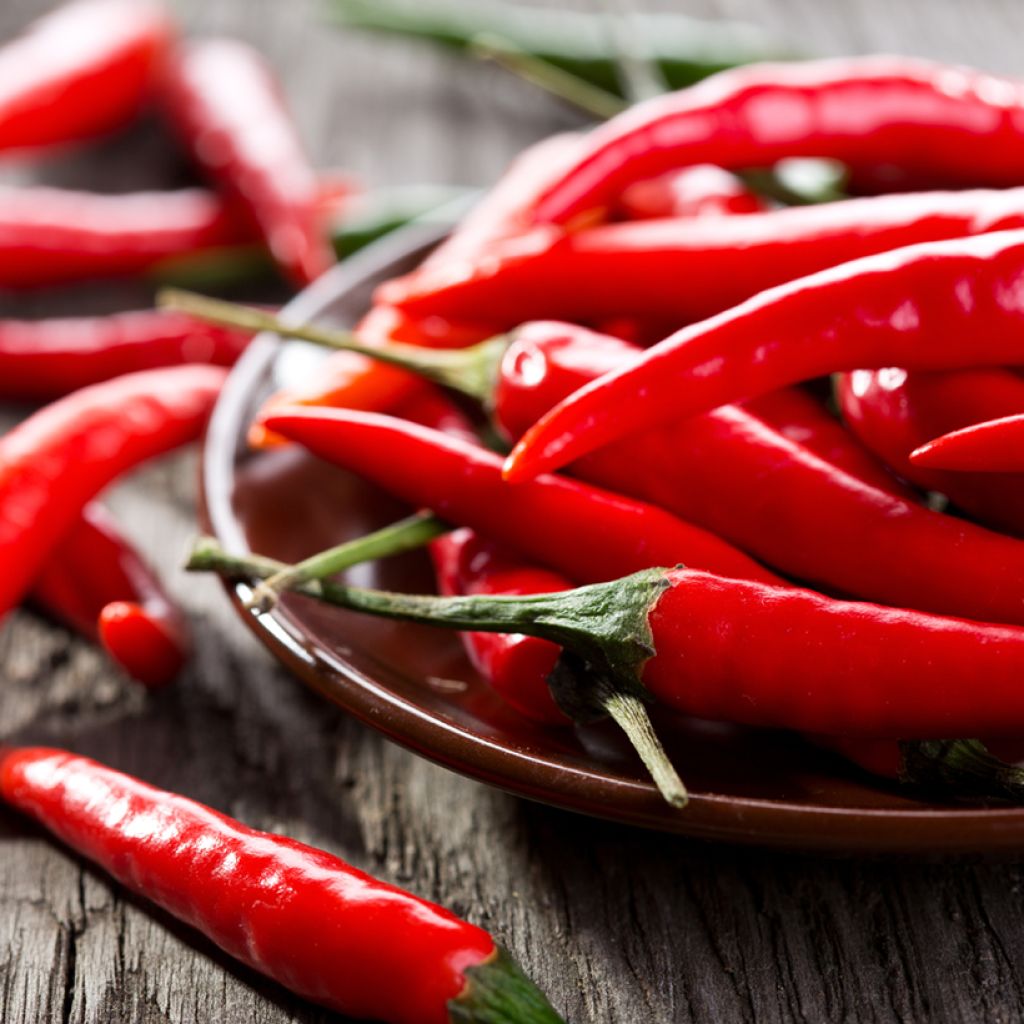 Chilipaprika de Cayenne