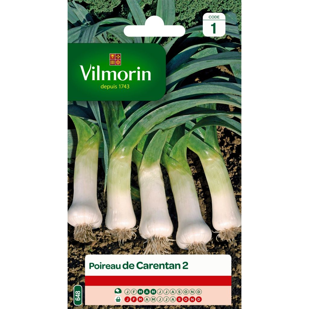 Purjo Carentan 2 - Vilmorin