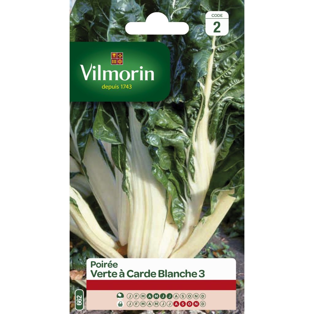 Lehtimangoldi White Silver 3 - Vilmorin