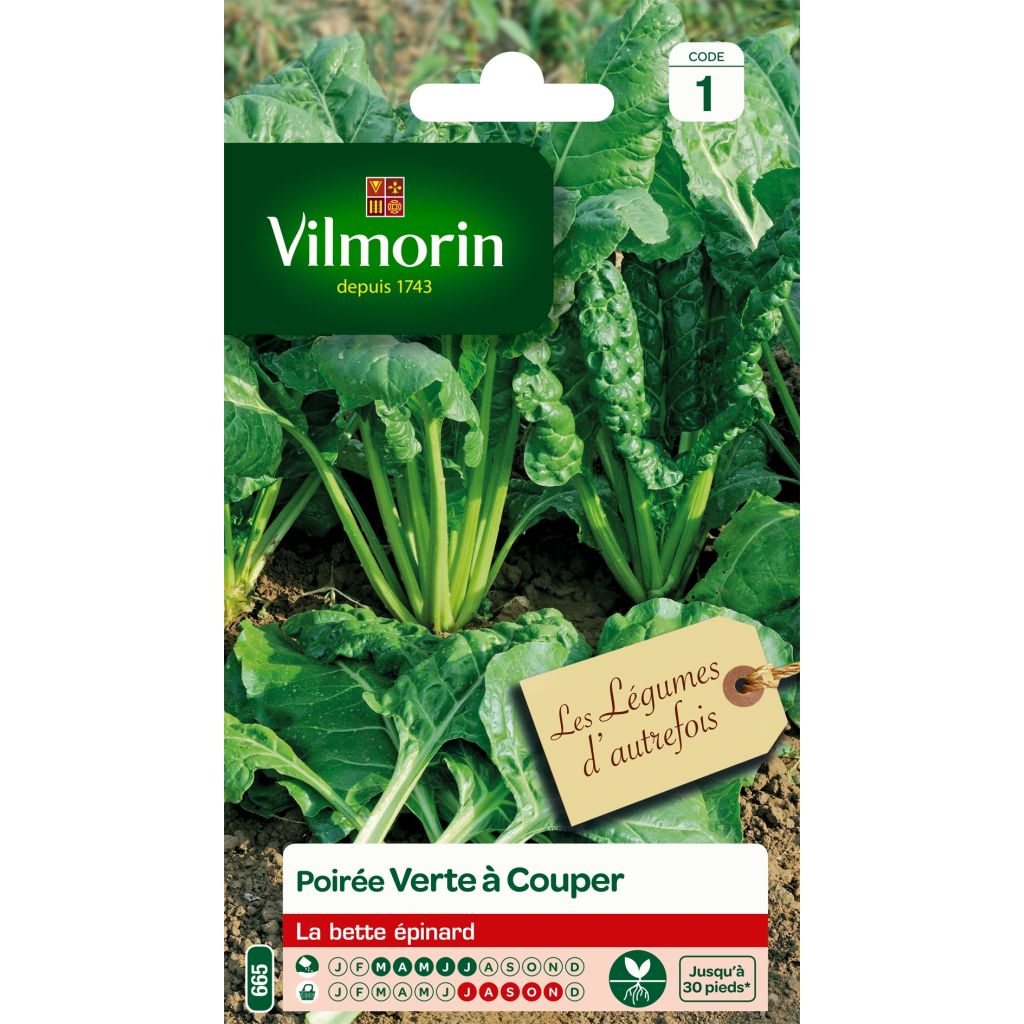 Lehtimangoldi Vilmorin - Beta vulgaris