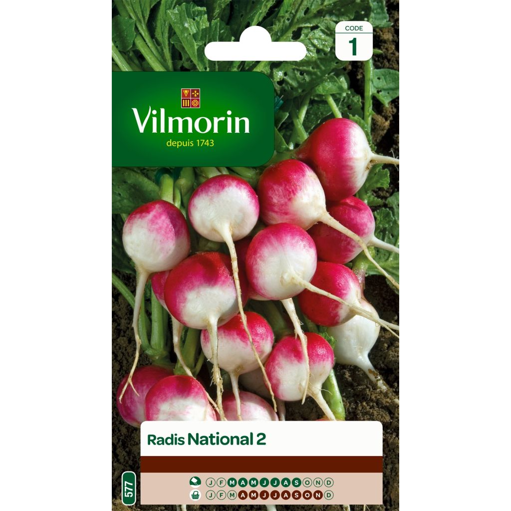Retiisi National 2 - Vilmorin