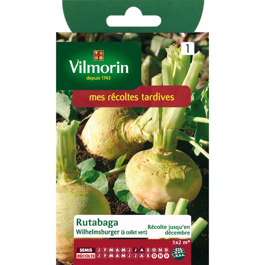 Lanttu Wilhemsburger - Vilmorin