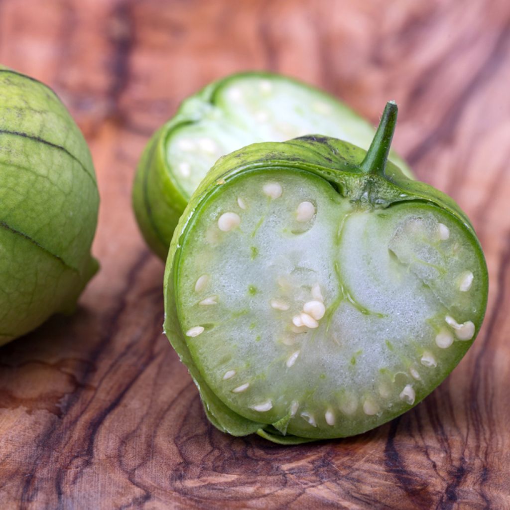 Tomatillo luomu - Ferme de Sainte Marthe - Physalis ixocarpa