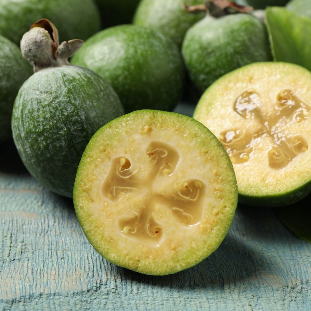Feijoa - Acca sellowiana