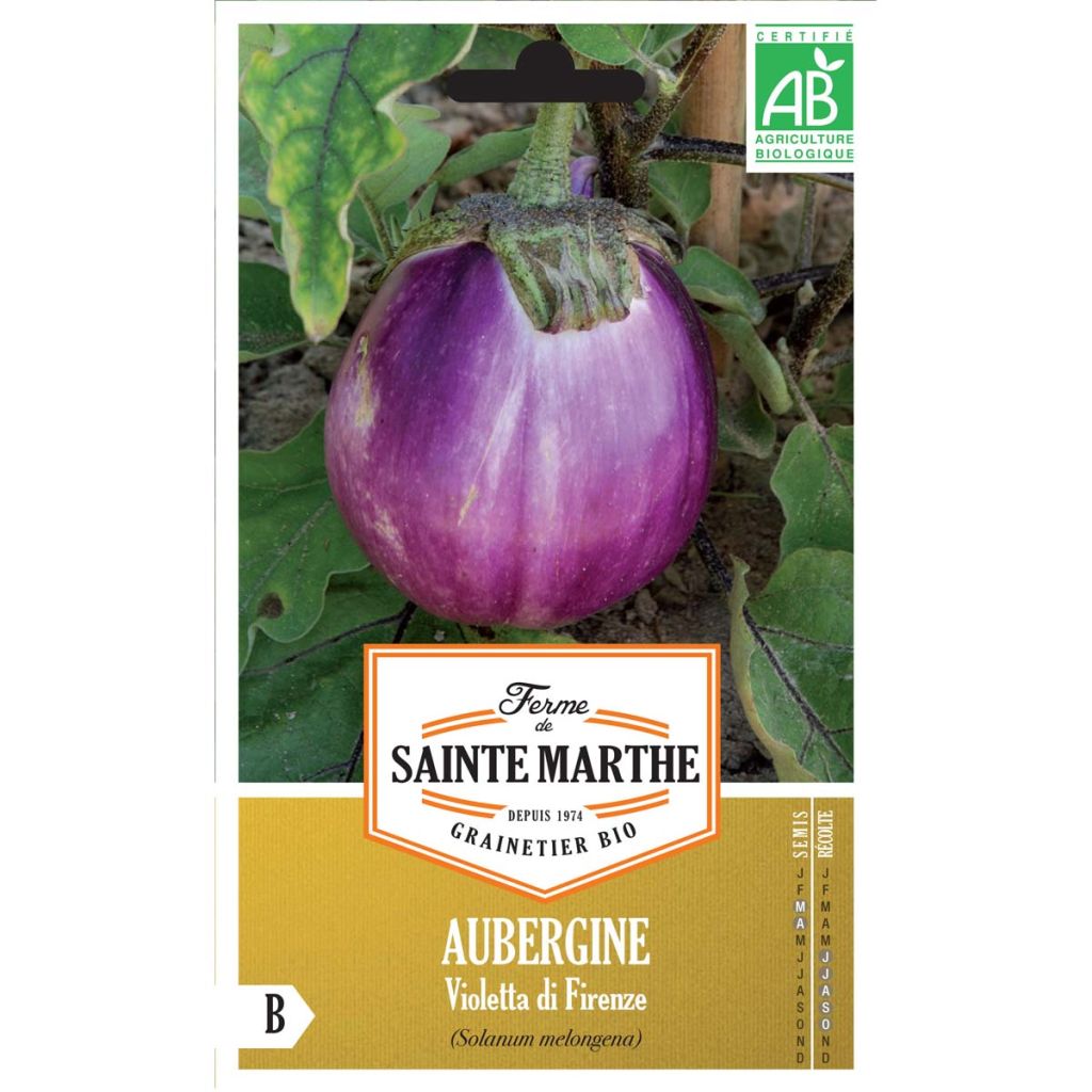 Munakoiso Violetta Di Firenze luomu - Ferme de Sainte Marthe