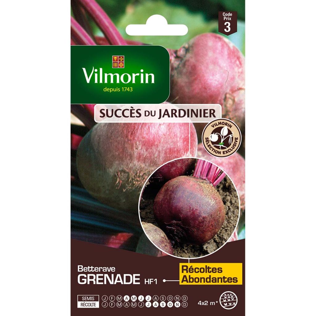 Punajuurikas Grenade F1 - Vilmorin