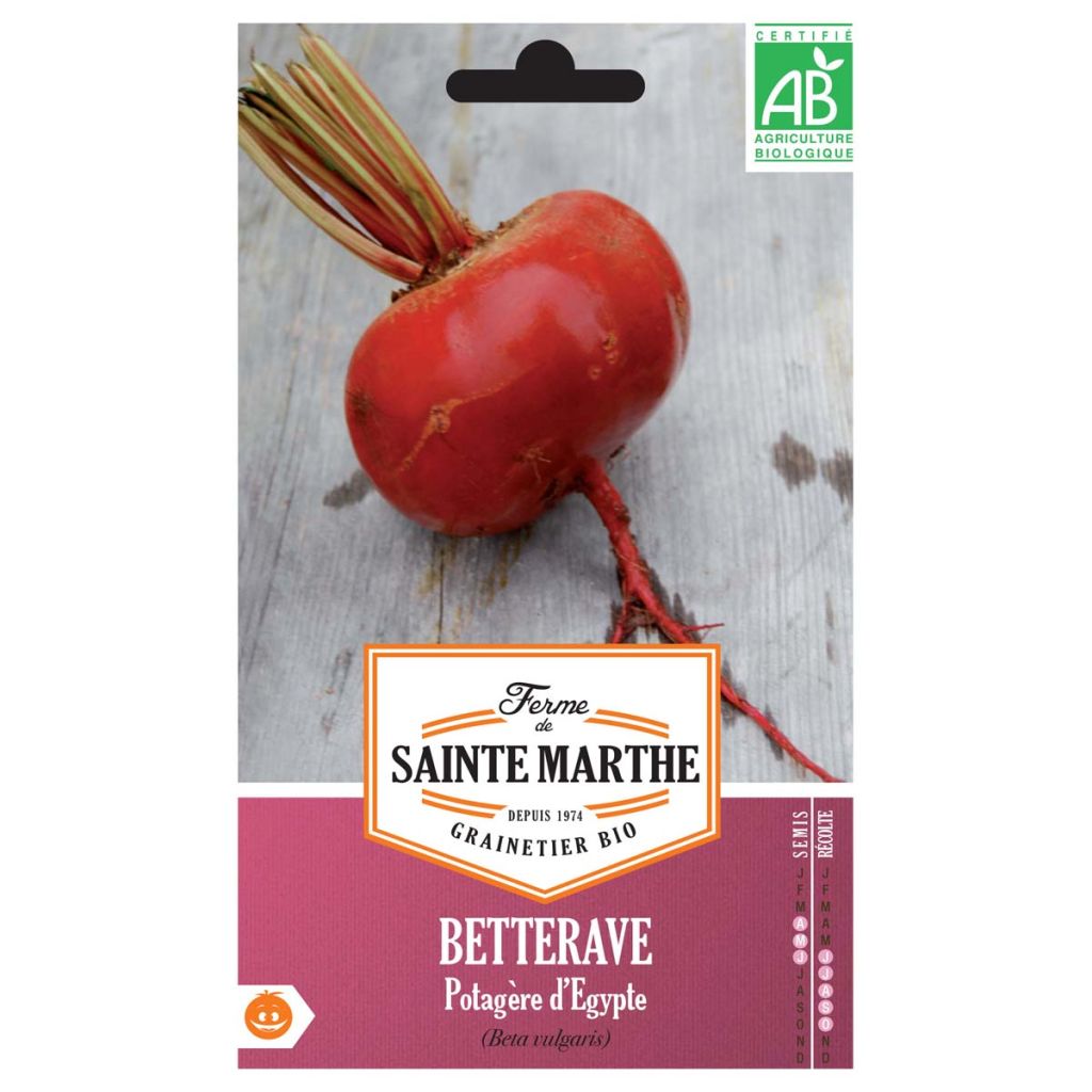 Punajuurikas D'Egypte luomu - Ferme de Sainte Marthe