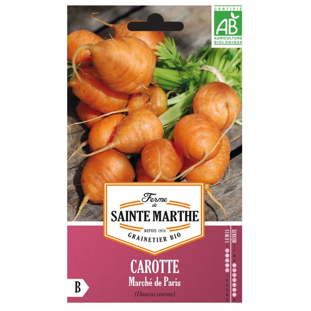 Porkkana Marché de Paris luomu - Ferme de Sainte Marthe