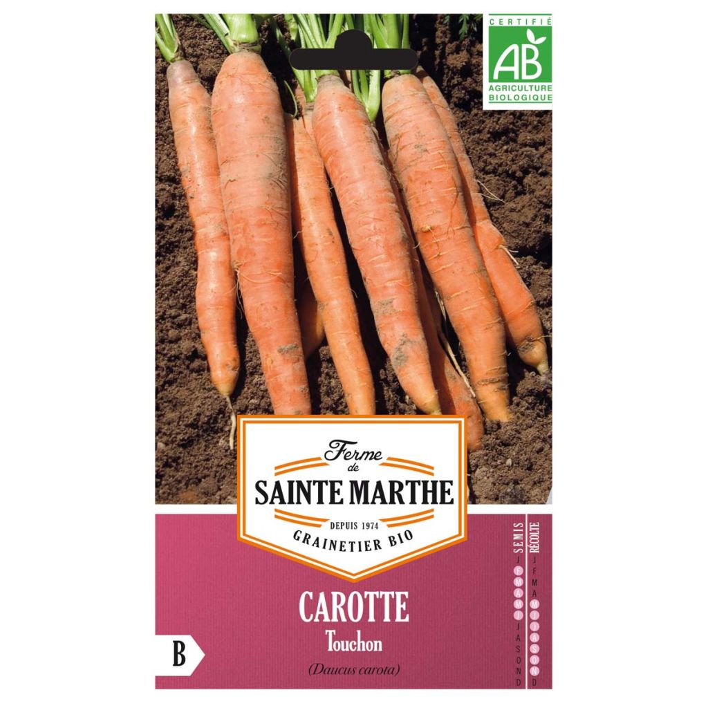 Porkkana Touchon luomu - Ferme de Sainte Marthe