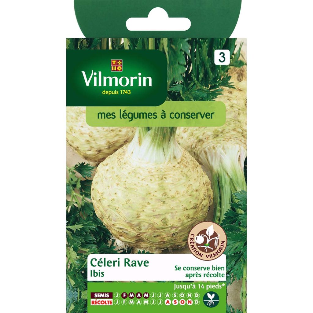 Mukulaselleri Ibis - Vilmorin