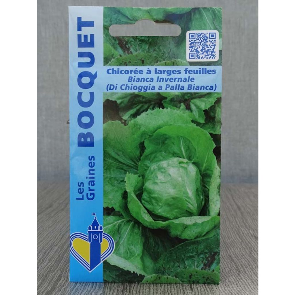 Sikuri Bianca invernale ( di chioggia a palla Bianca )