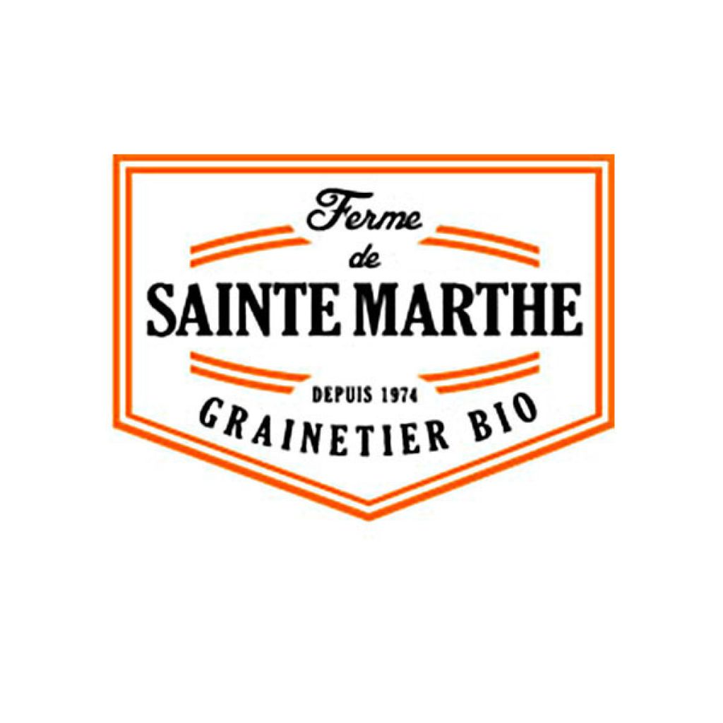 Chicorée scarole Grosse Bouclée 2 AB - Ferme de Ste Marthe