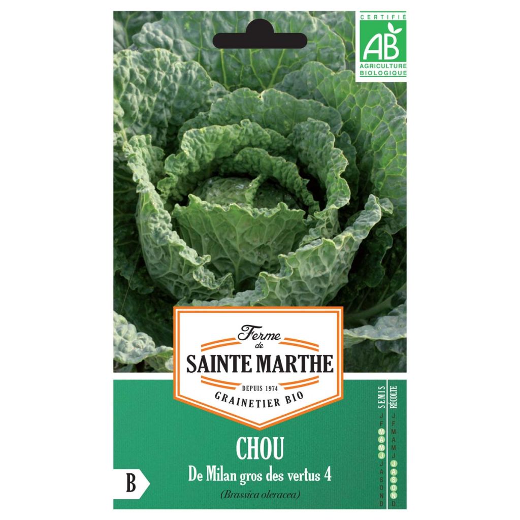 Savoijinkaali Vertus 2 luomu - Ferme de Sainte Marthe