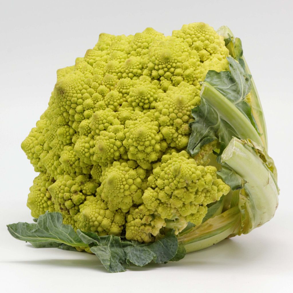 Parsakaali Romanesco