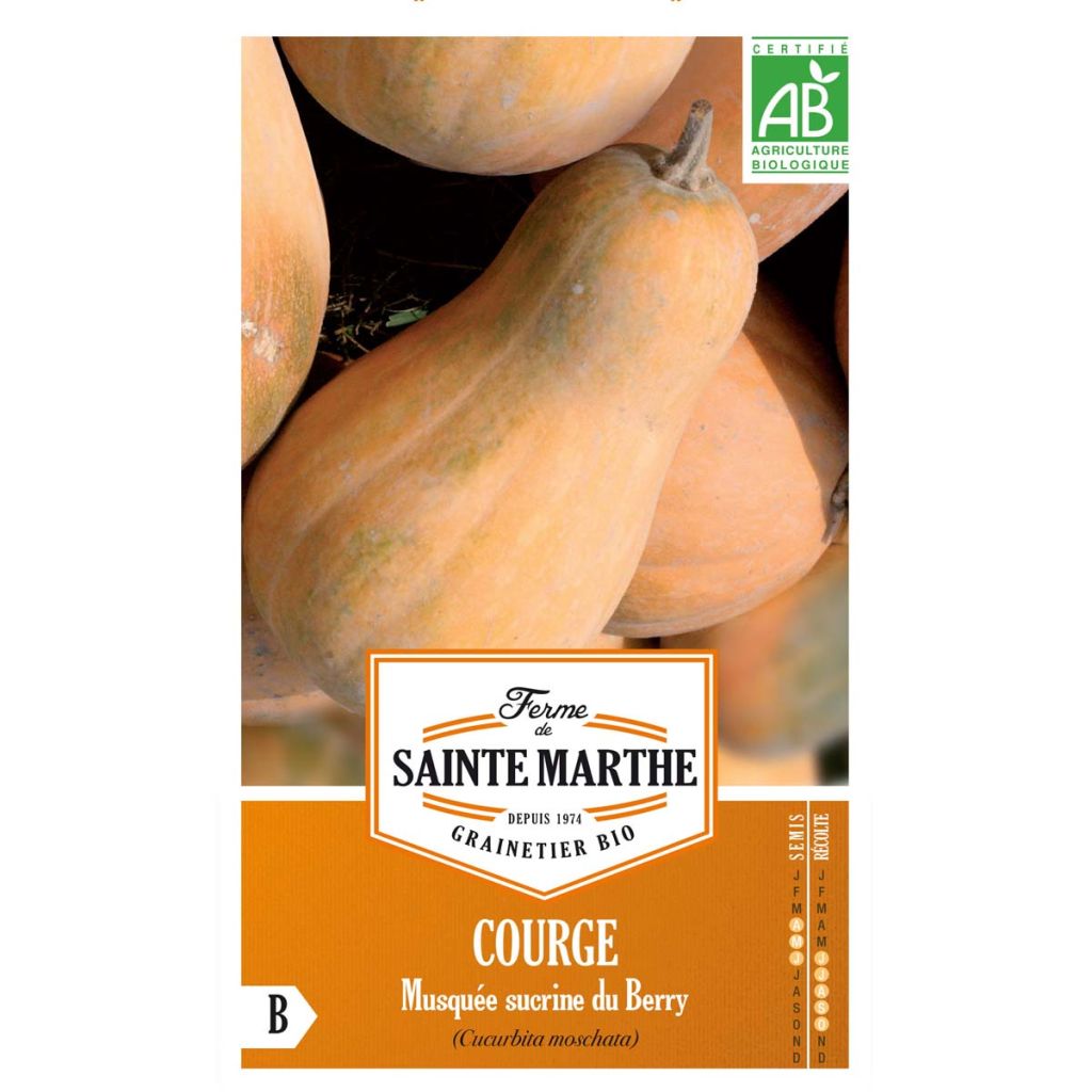 Myskikurpitsa Sucrine du Berry luomu - Ferme de Sainte Marthe