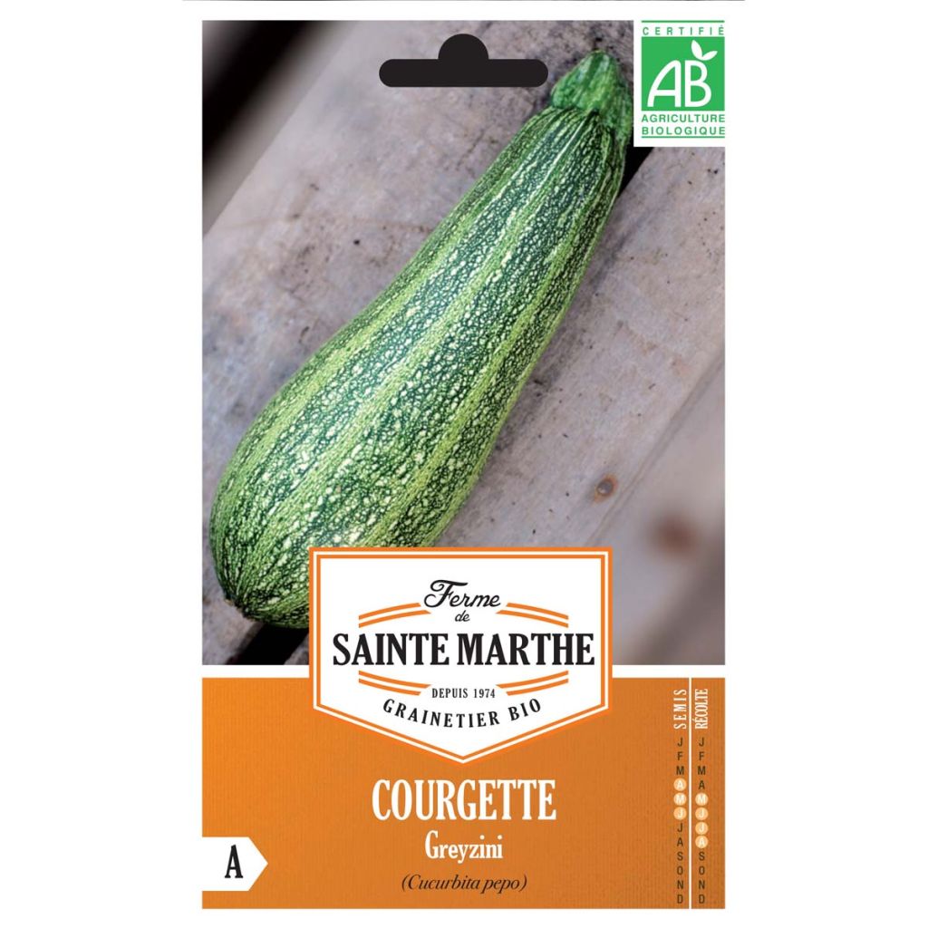Kesäkurpitsa Grisette de Provence luomu - Ferme de Sainte Marthe