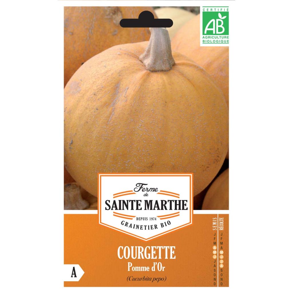 Talvikurpitsa Pomme d'Or luomu - Ferme de Sainte Marthe