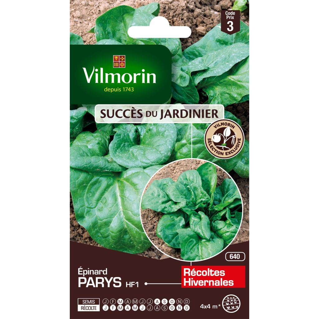 Pinaatti Parys F1 - Vilmorin