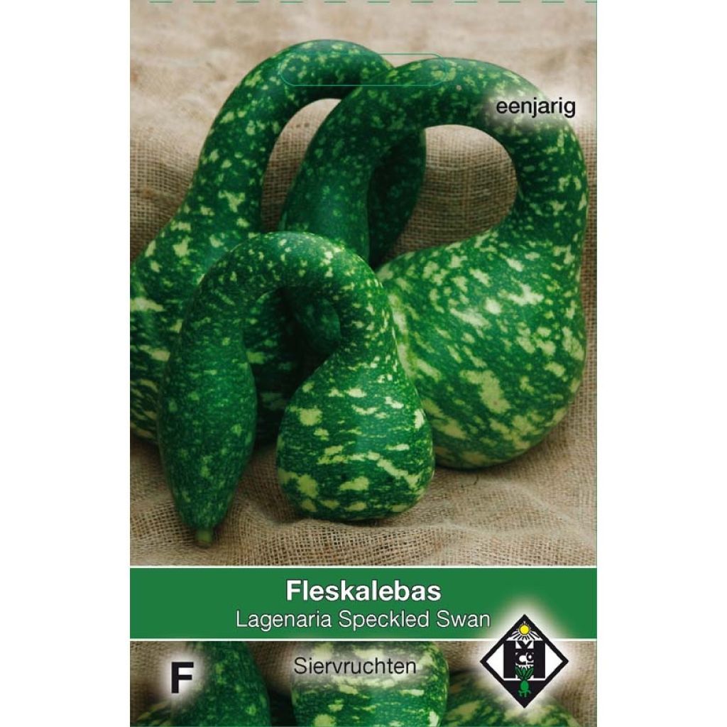 Pullokurpitsa Speckled Swan (siemenet)