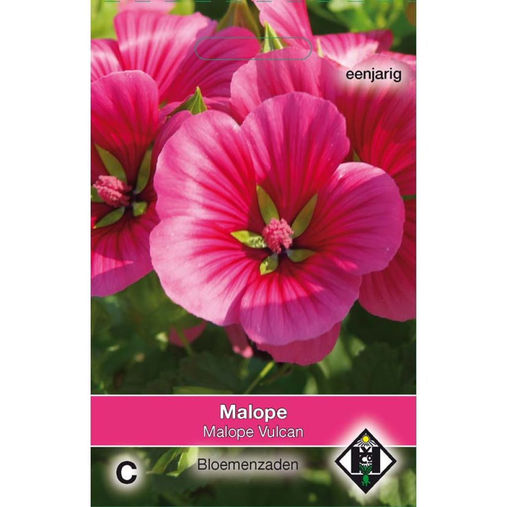 Maloppi Vulcan (siemenet)