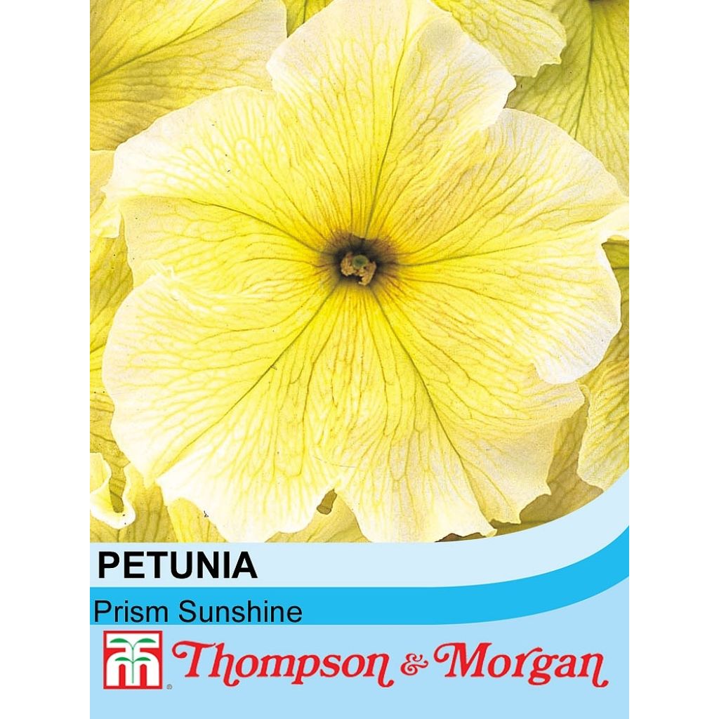 Tarhapetunia Prism Sunshine F1 (siemenet)