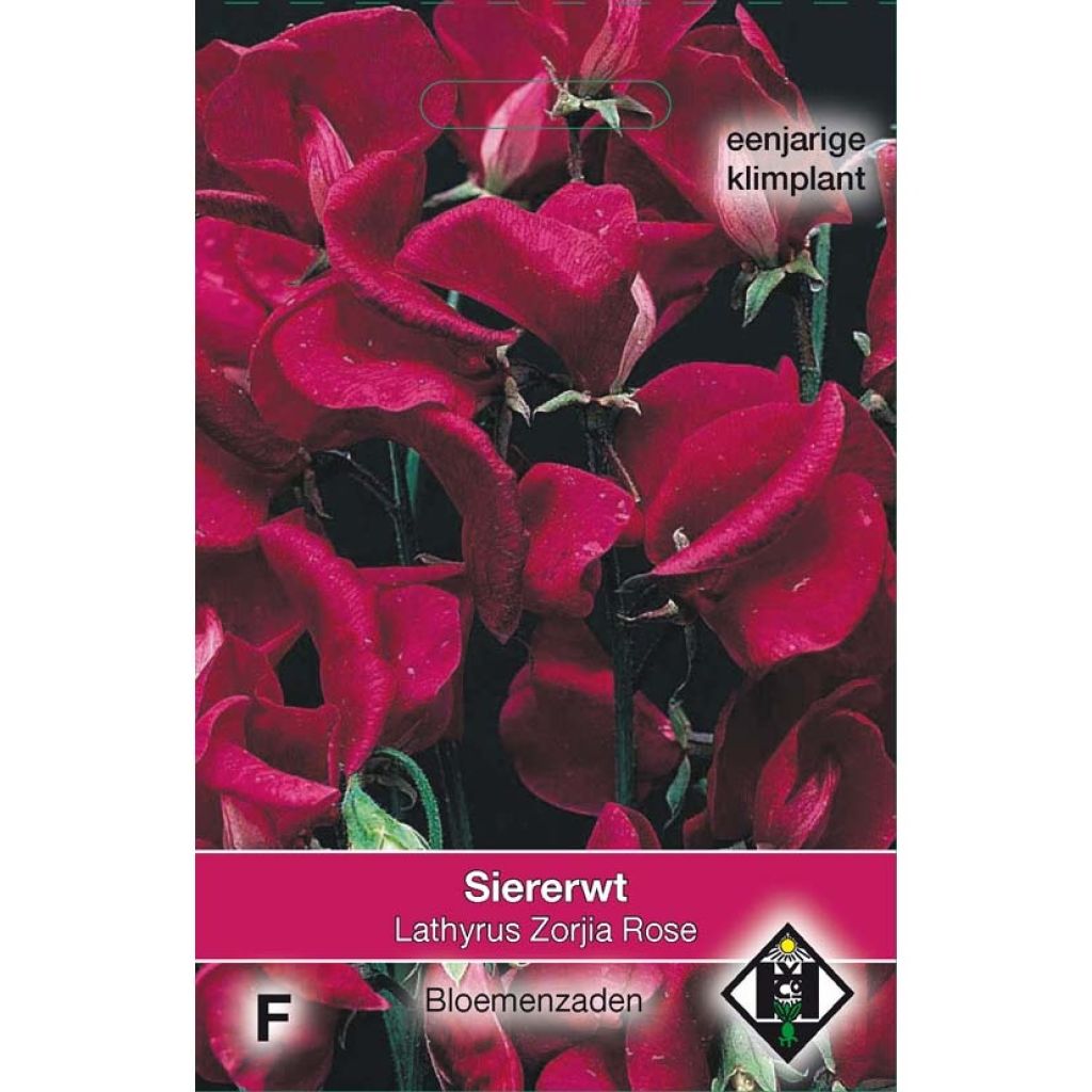 Tuoksuherne Zorjia Rose (siemenet)