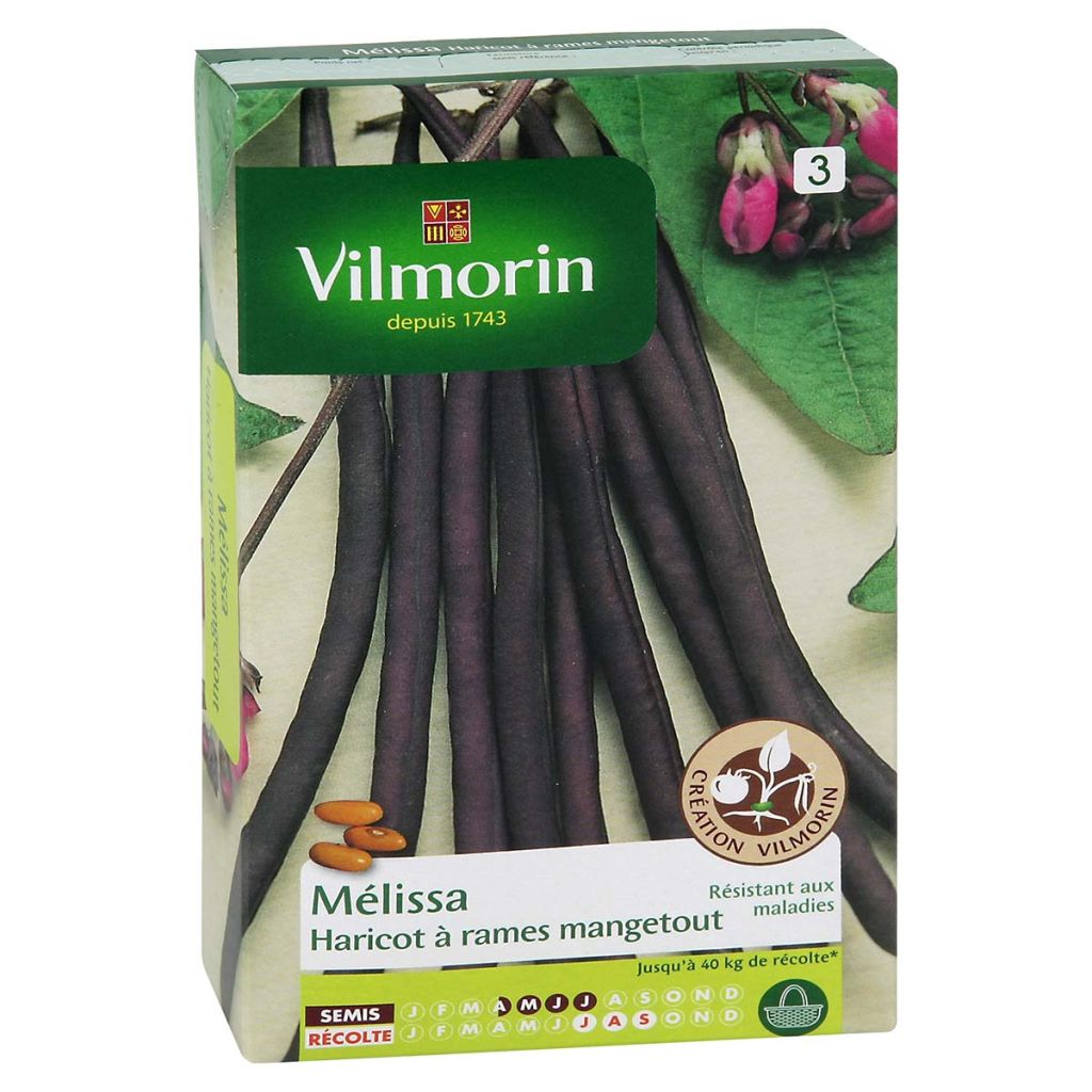 Salkopapu Melissa - Vilmorin