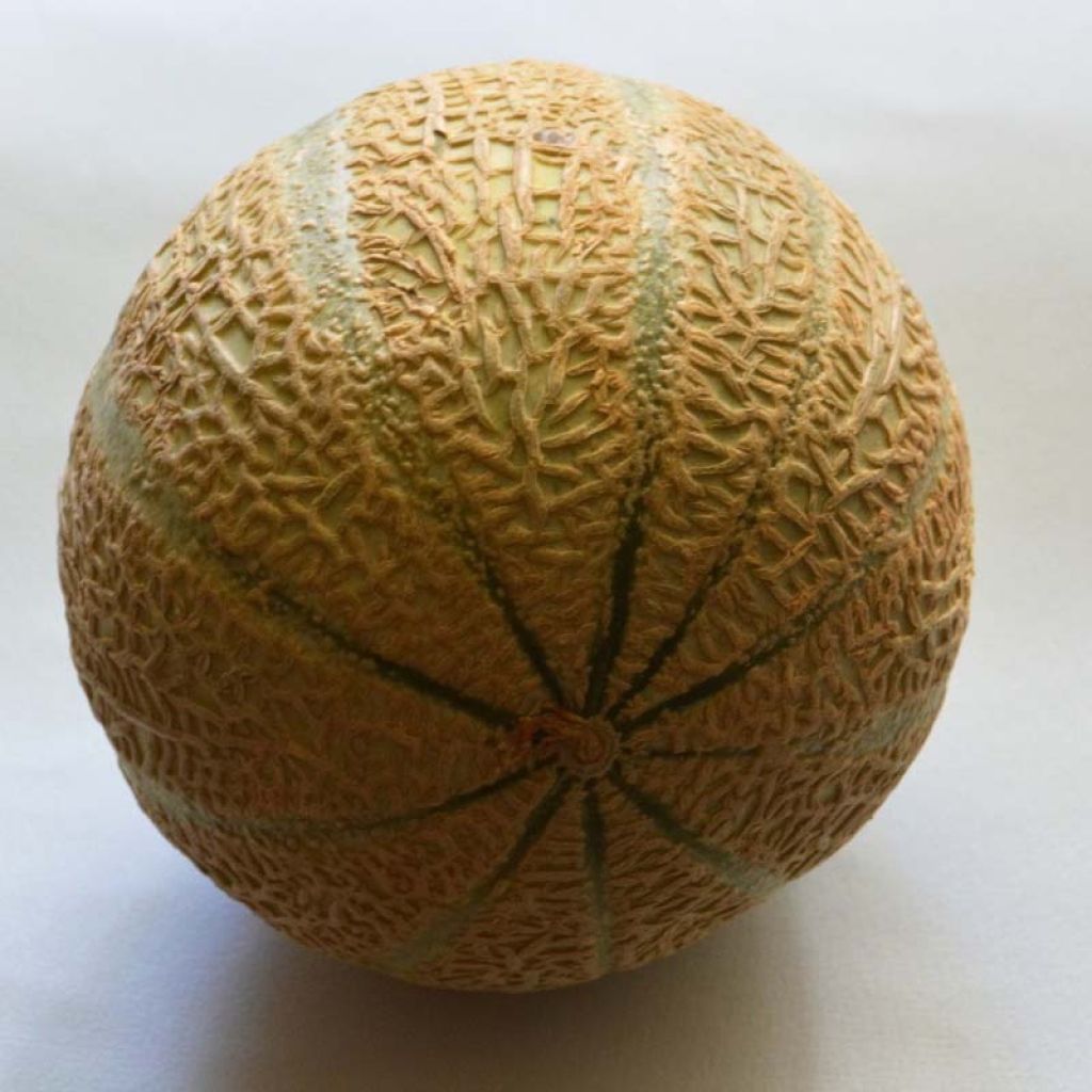 Cantaluponmeloni Anasta F1