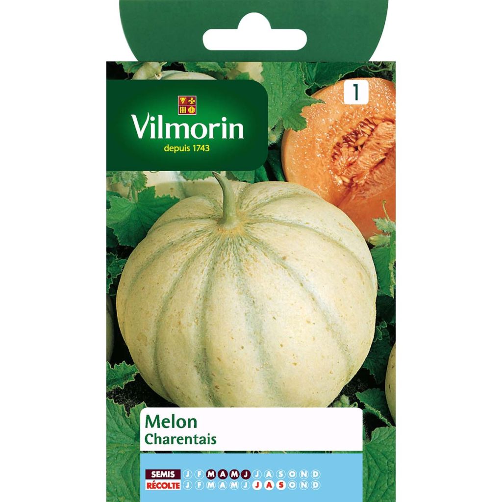 Cantaluponmeloni Charentais - Vilmorin