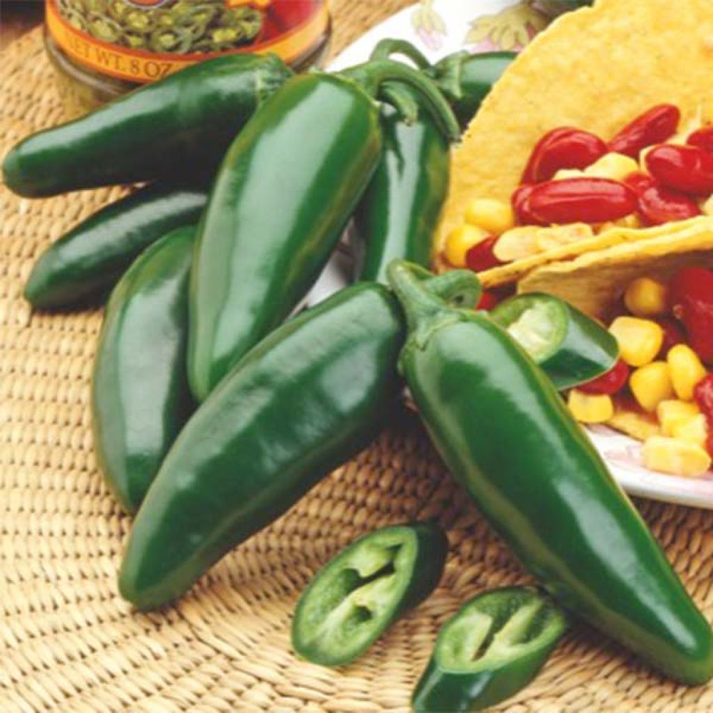 Chilipaprika Jalapeno