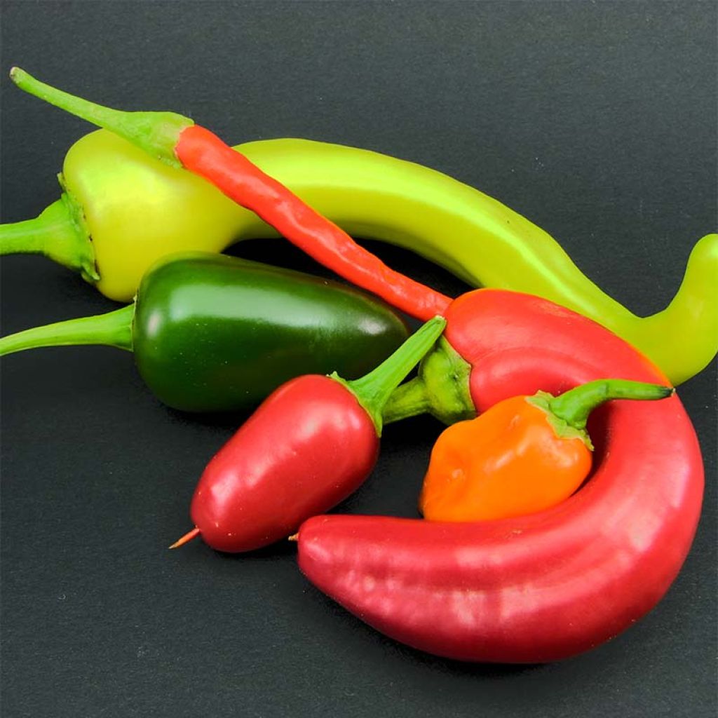 Maustepaprika Sweet Banana