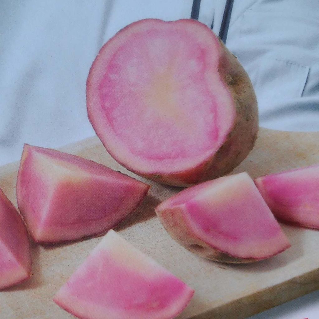 Peruna Perupas Pink Love