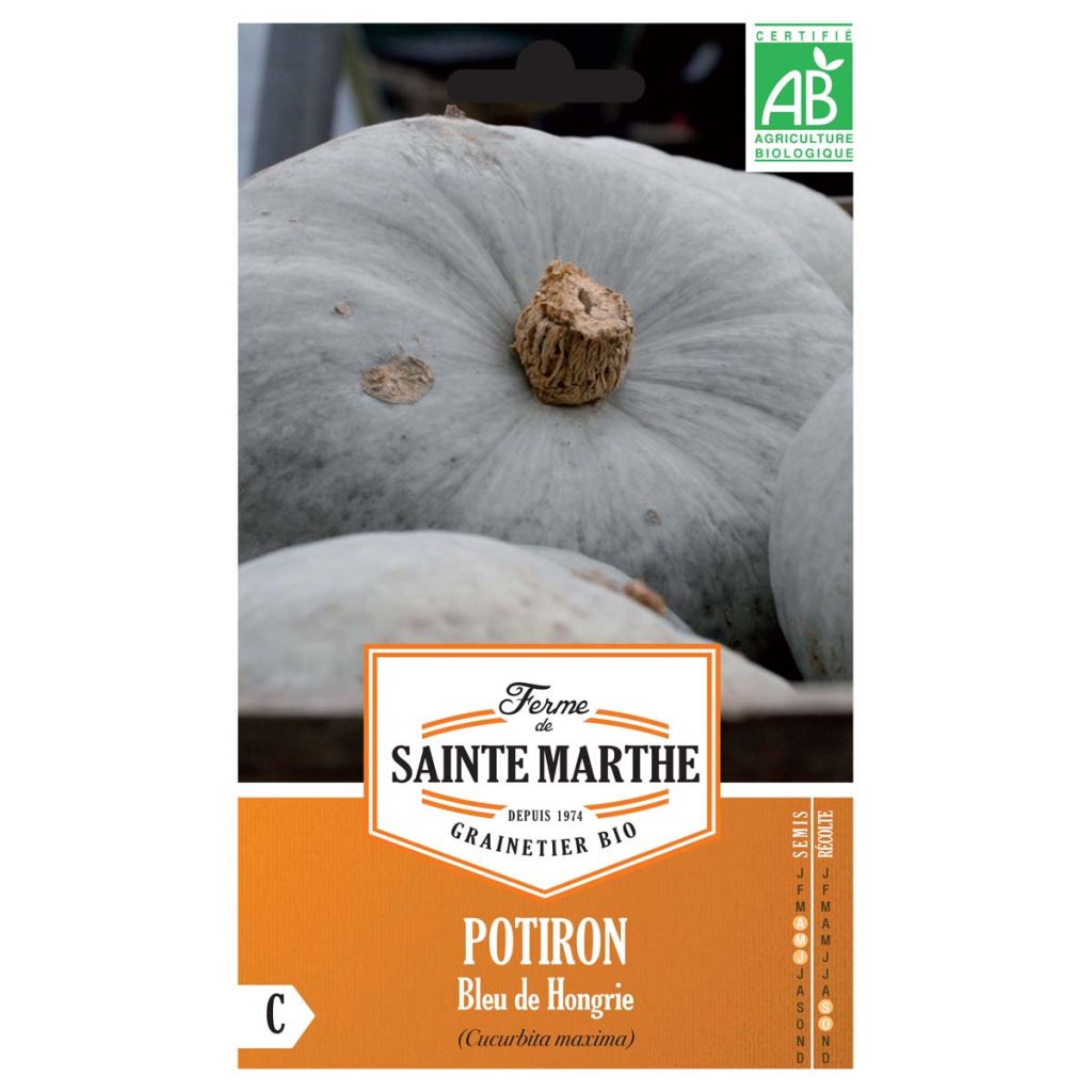 Jättikurpitsa Bleu de Hongrie luomu - Ferme de Sainte Marthe