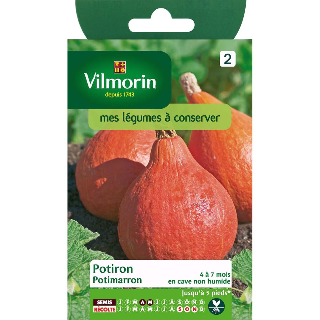 Jättikurpitsa - Vilmorin