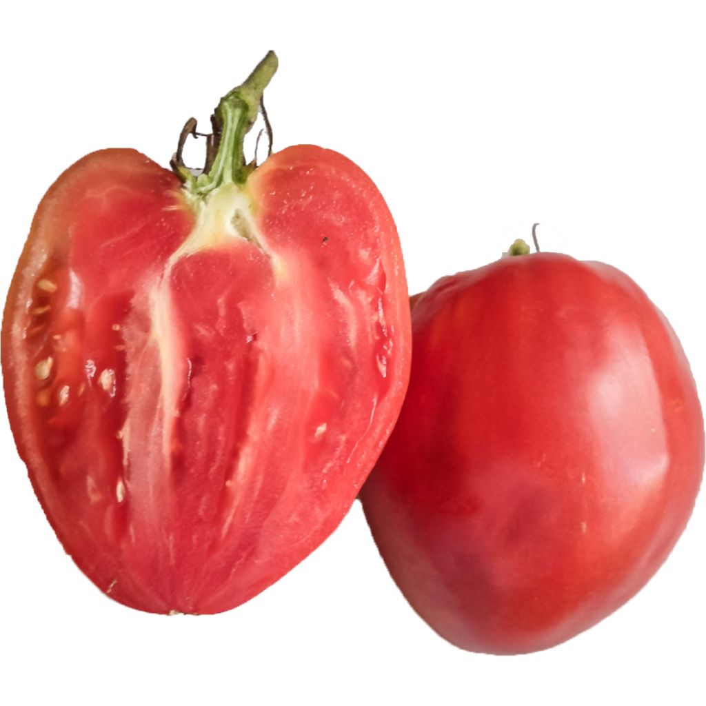 Häränsydäntomaatti Cuor di Bue Rose ruukussa