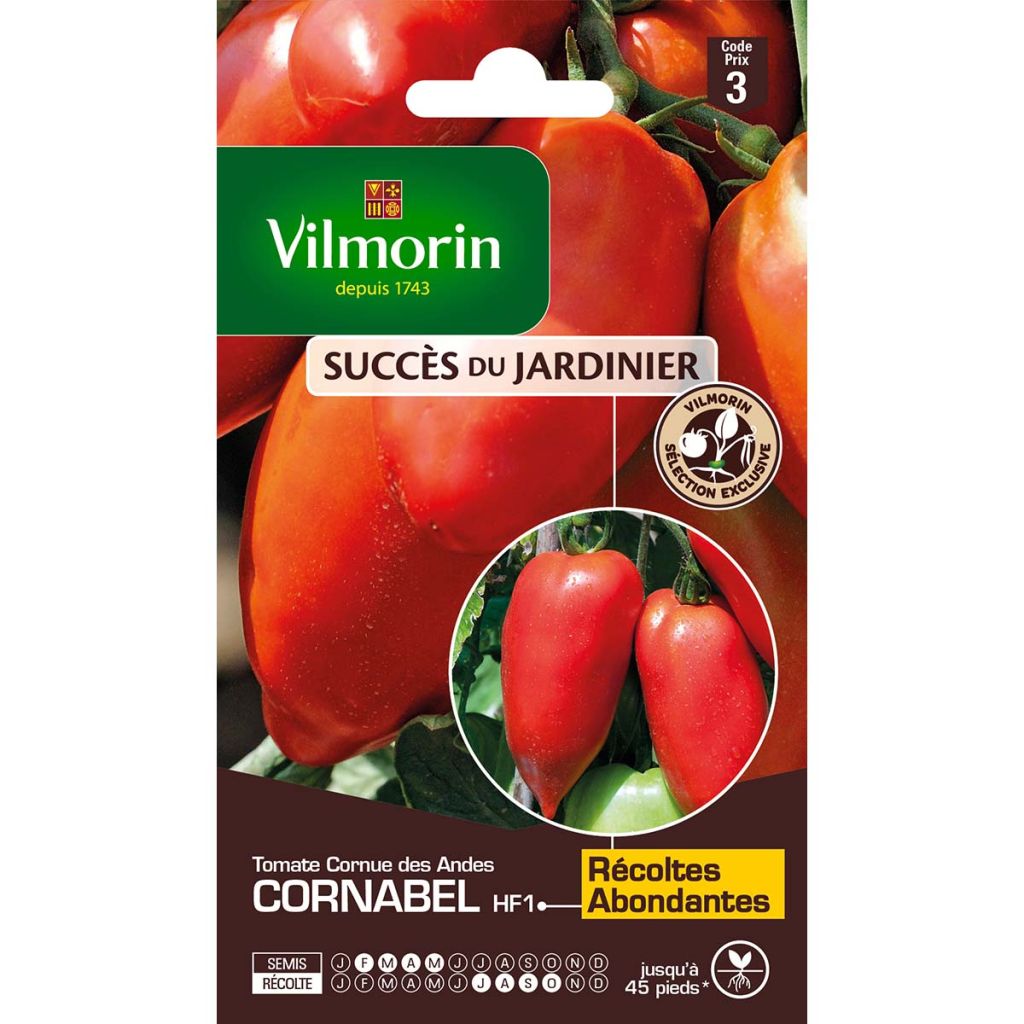 Tomaatti Cornabel F1 - Vilmorin