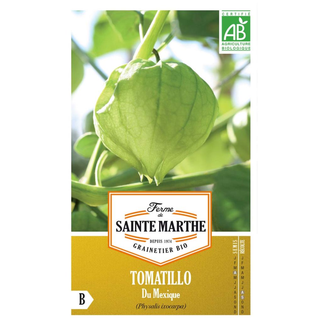 Tomatillo luomu - Ferme de Sainte Marthe - Physalis ixocarpa