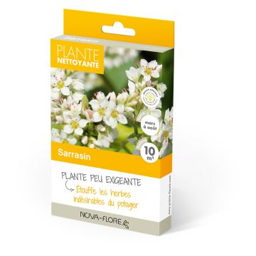 Viljatattari viherlannoite - Fagopyrum esculentum