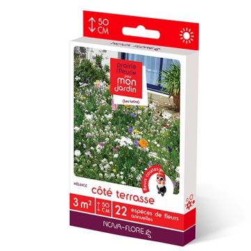 Siemenseos Menninkäiset Terassin puoli