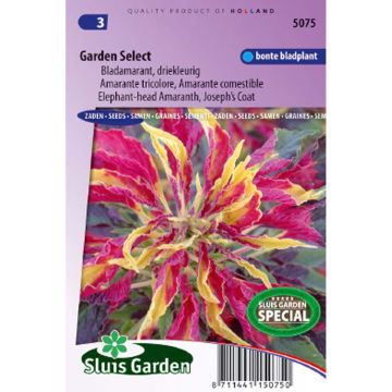 Kirjorevonhäntä Garden select (siemenet)