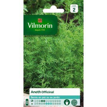 Maustetilli Vilmorin - Anethum graveolens