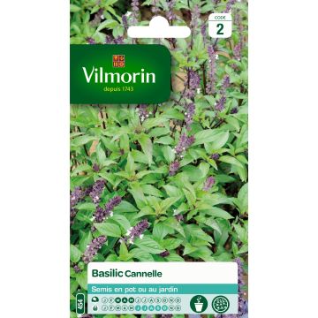 Maustebasilika Cinnamon - Vilmorin