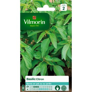 Maustebasilika Lemon - Vilmorin