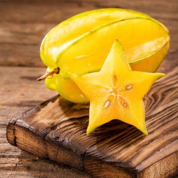 Karambola Arkin
