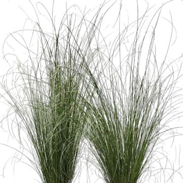 Kuparisara Green Twist