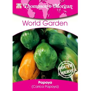Tarhapapaija (siemenet) - Carica papaya
