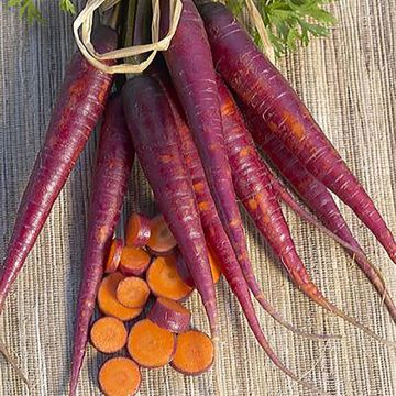Porkkana Cosmic Purple luomu - Ferme de Sainte Marthe