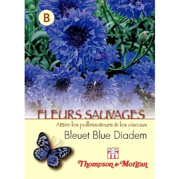 Ruiskaunokki Blue Diadem (siemenet)